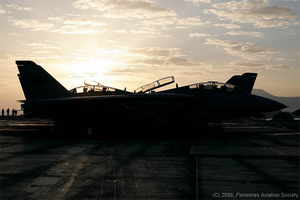 72 CVN71060222 F-14A 164349 AJ-212 DK 01 F-14A 164349/AJ-212 of VF-213 - USS Theodore Roosevelt, 22 February 2006 (C) Didier Kories